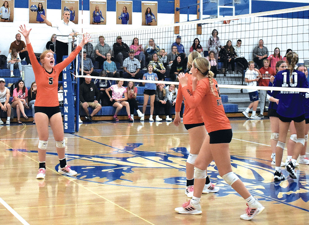 Panthers battle Surrey to 31 volleyball win News, Sports, Jobs The